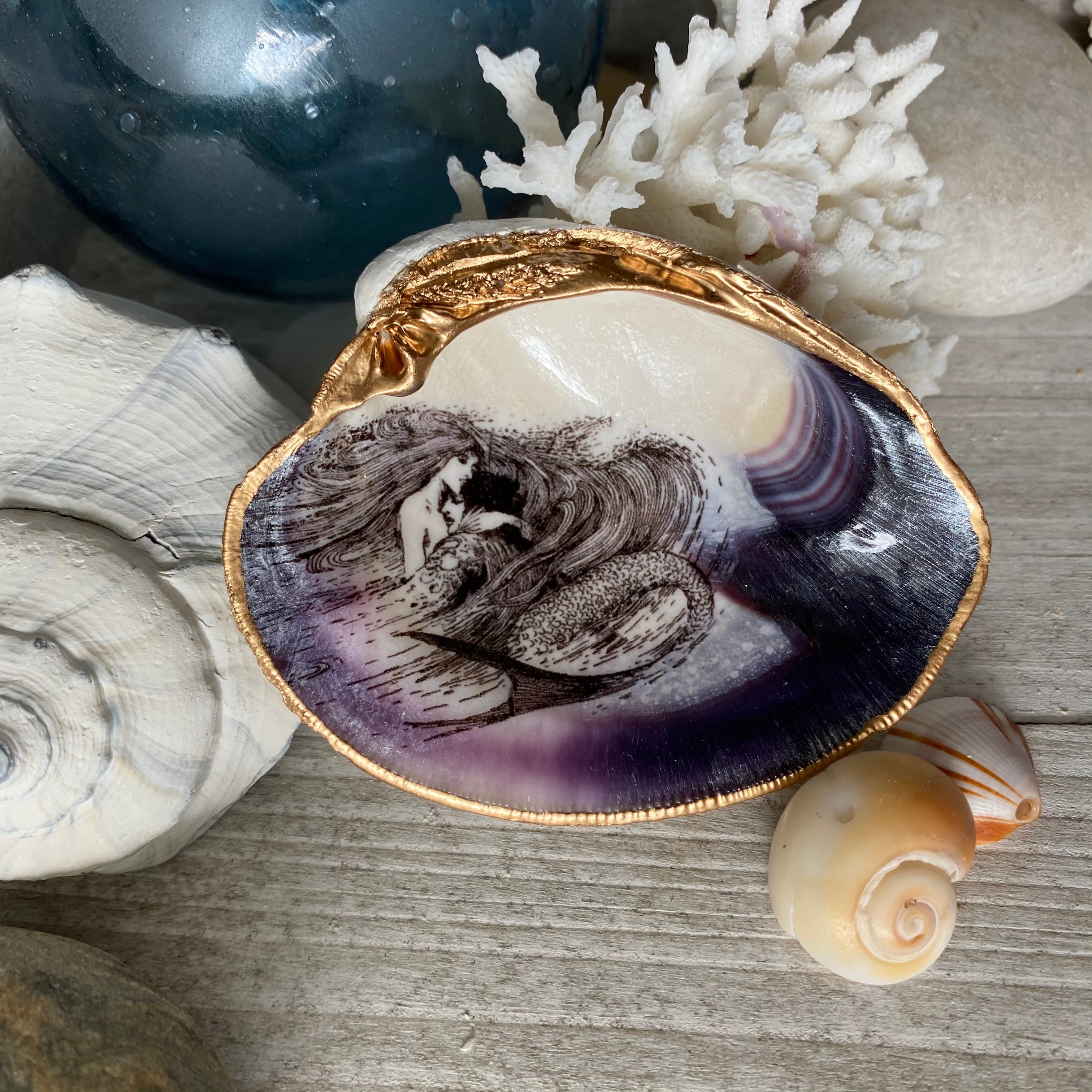 Clam Shells – Atlantique Designs