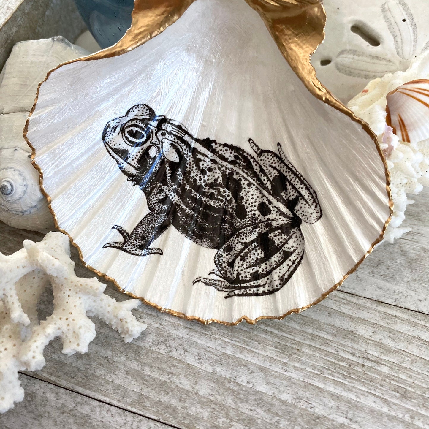 Decoupage Scallop Shell Trinket Dish Vintage Frog Art