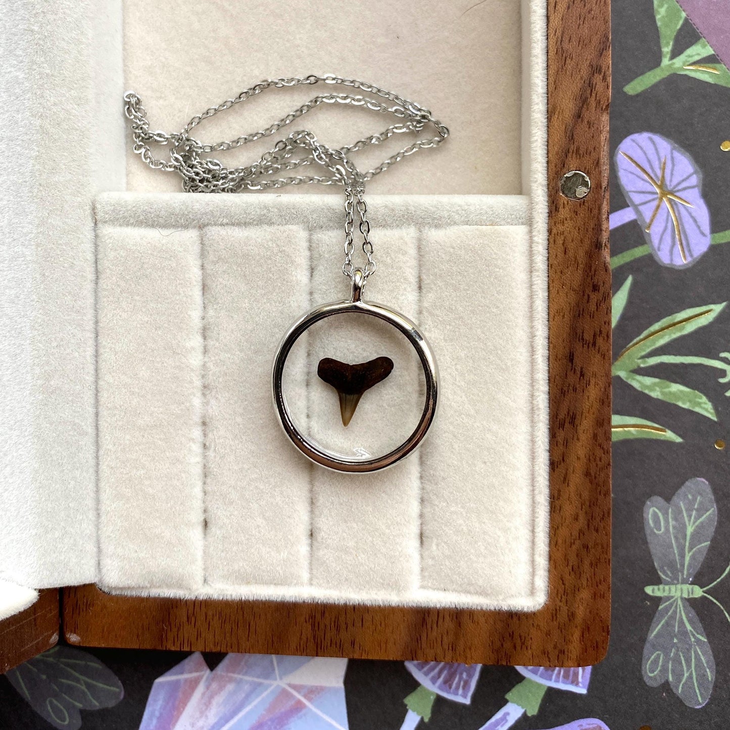 Genuine Fossilized Shark Tooth Pendant Necklace