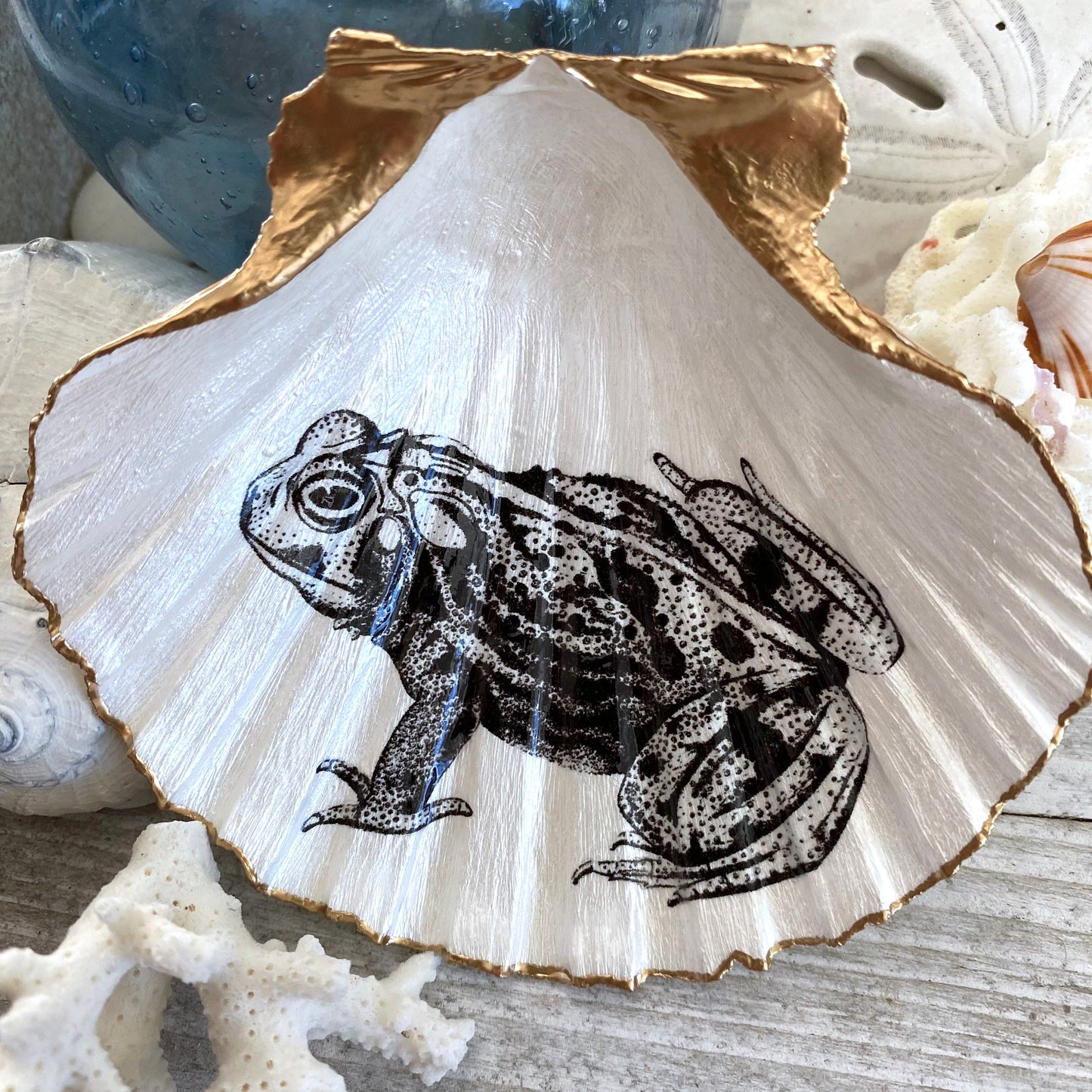 Decoupage Scallop Shell Trinket Dish Vintage Frog Art