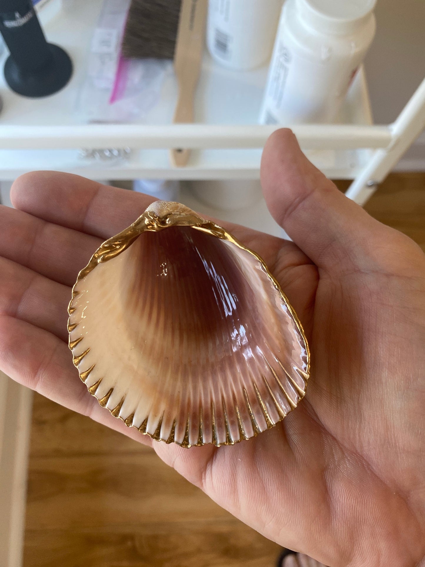 Handcrafted Clam Shell Salt and Pepper Dishes – Beach House Table Decor