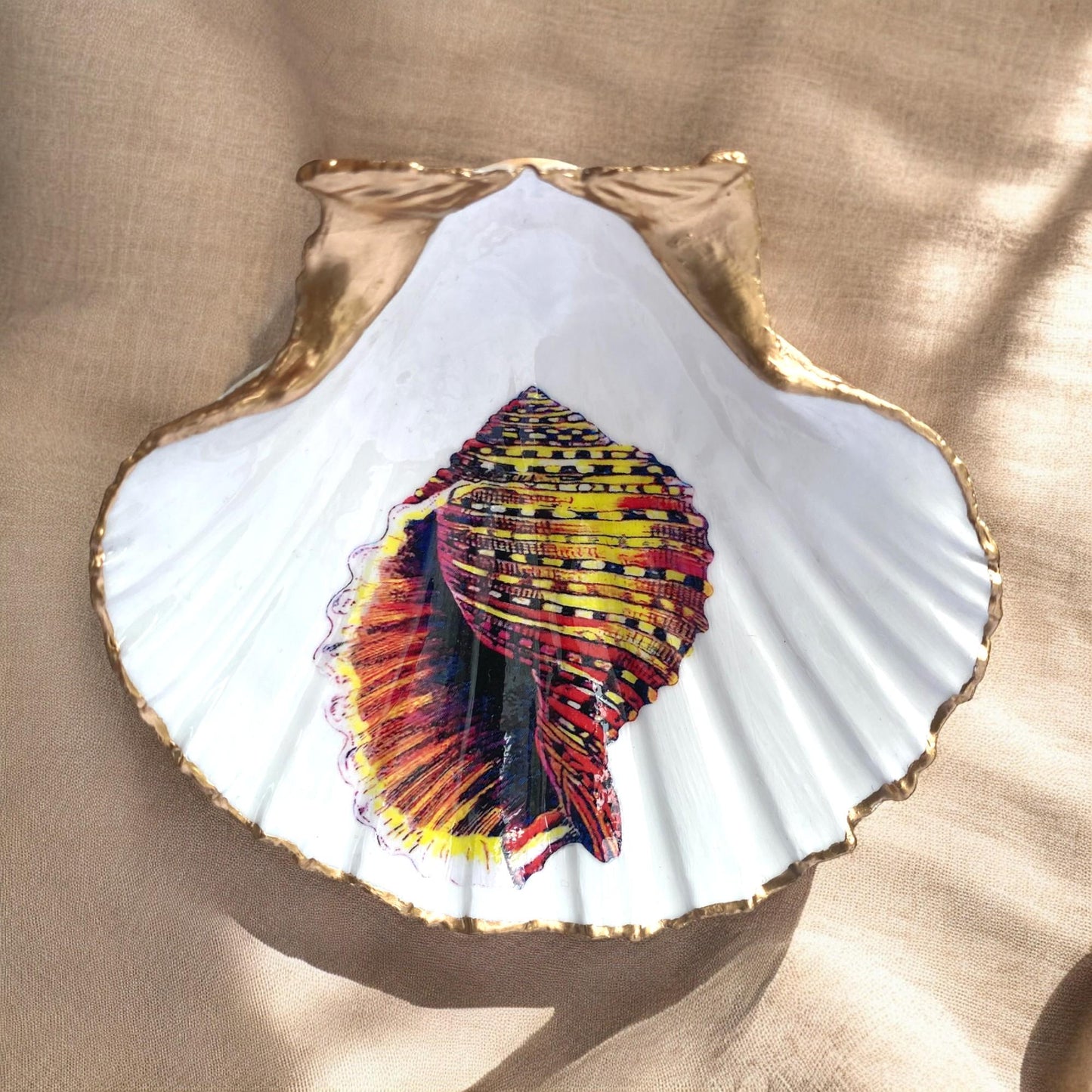 Coastal Wall Art Framed Decoupage Scallop Shell – Beach House Decor