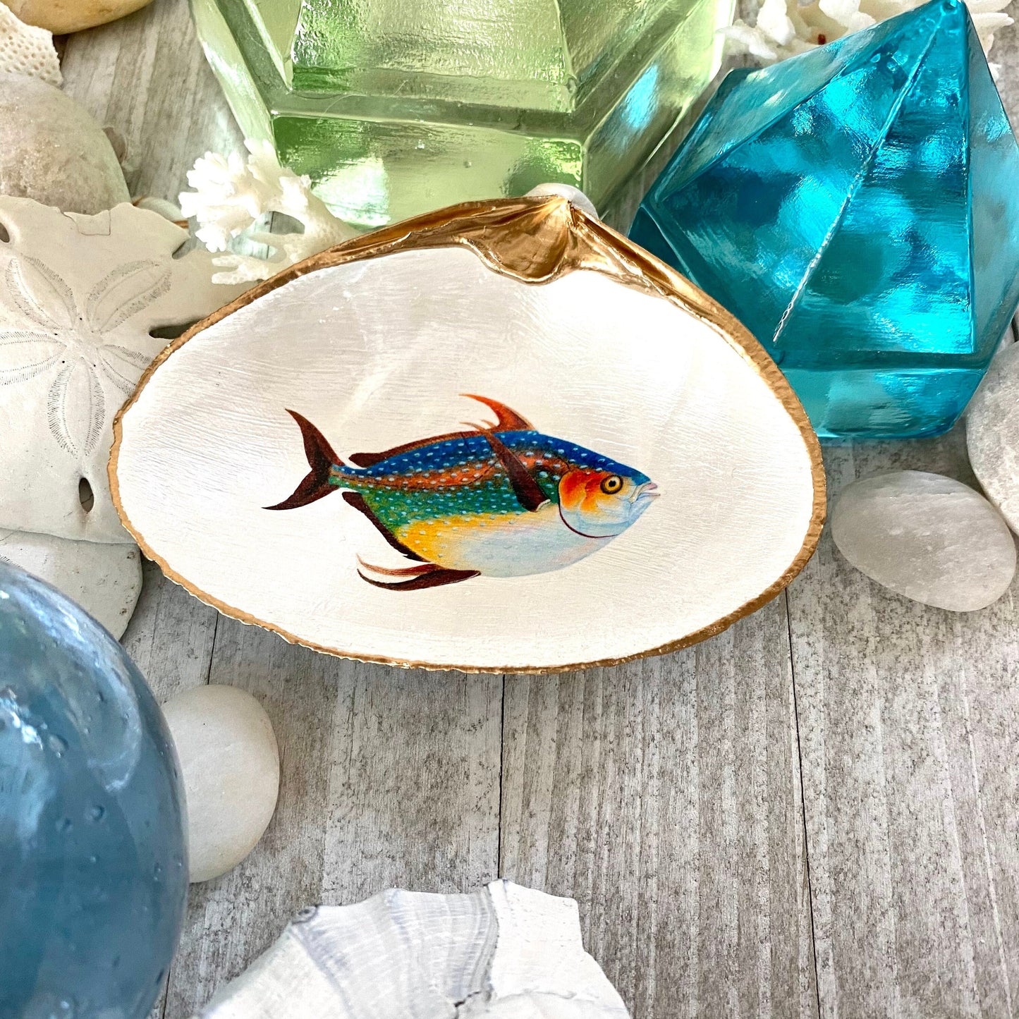 Decoupage Clam Shell Jewelry Dish – Opah Fish Design, Coastal Home Decor