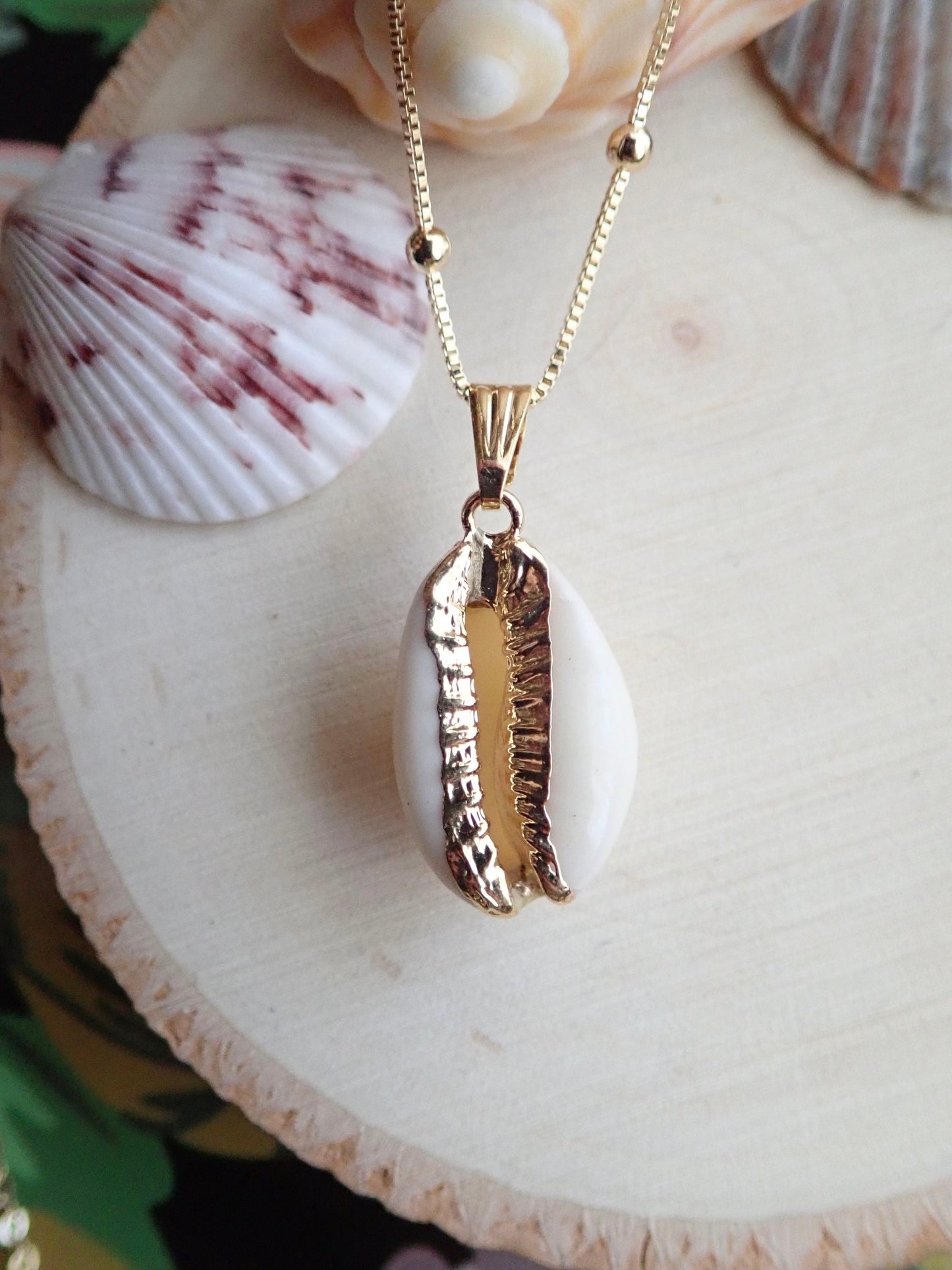 Real Seashell Cowrie Shell Necklace