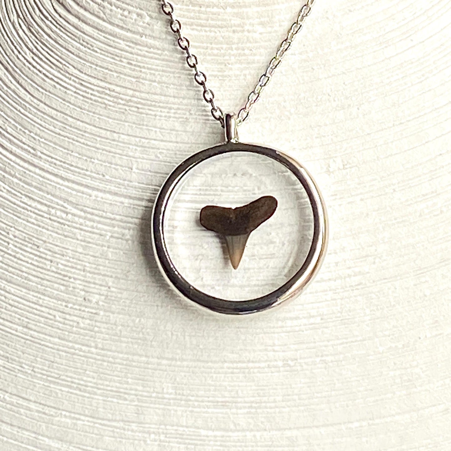 Genuine Fossilized Shark Tooth Pendant Necklace