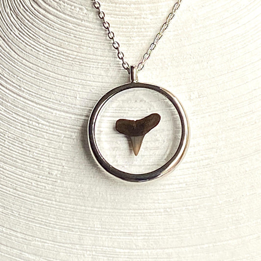 Genuine Fossilized Shark Tooth Pendant Necklace