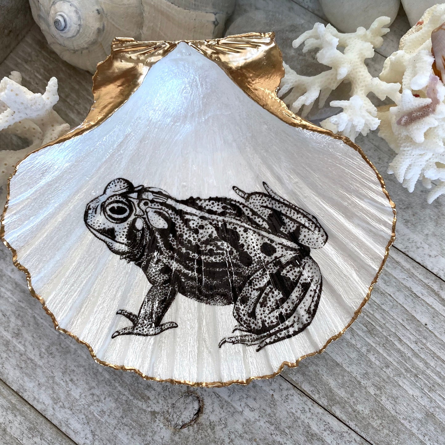 Decoupage Scallop Shell Trinket Dish Vintage Frog Art