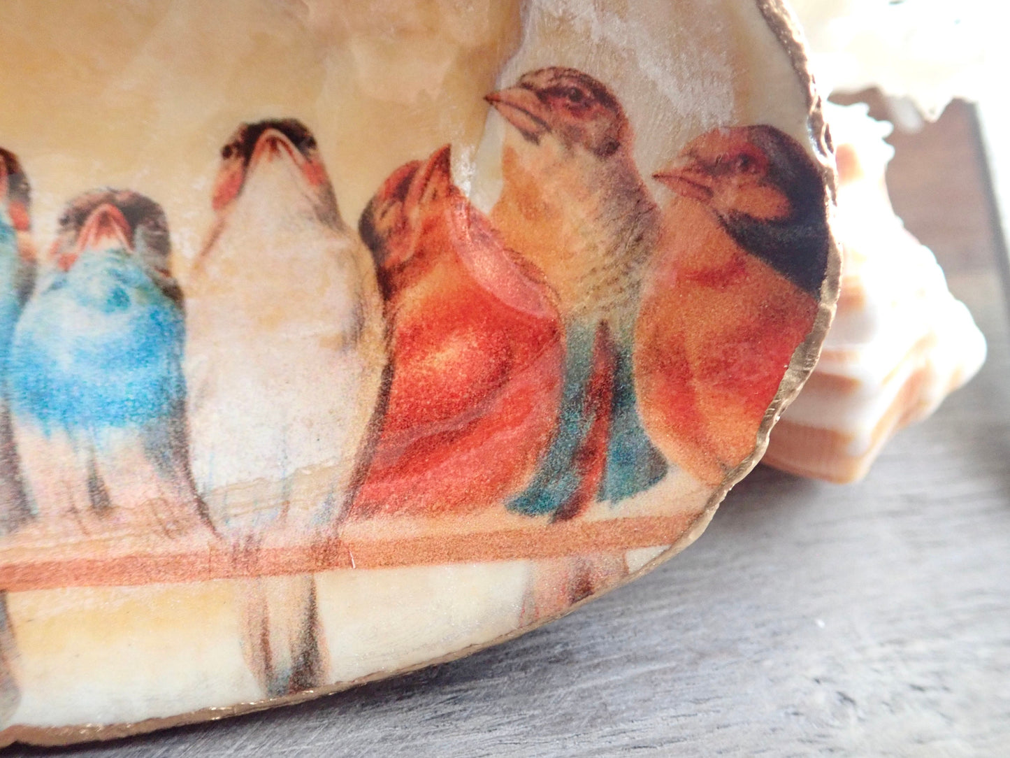 Decoupage Clam Shell Trinket Dish Bird Lover Art