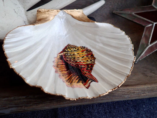 Decoupage Scallop Shell Trinket Dish Conch Shell Art