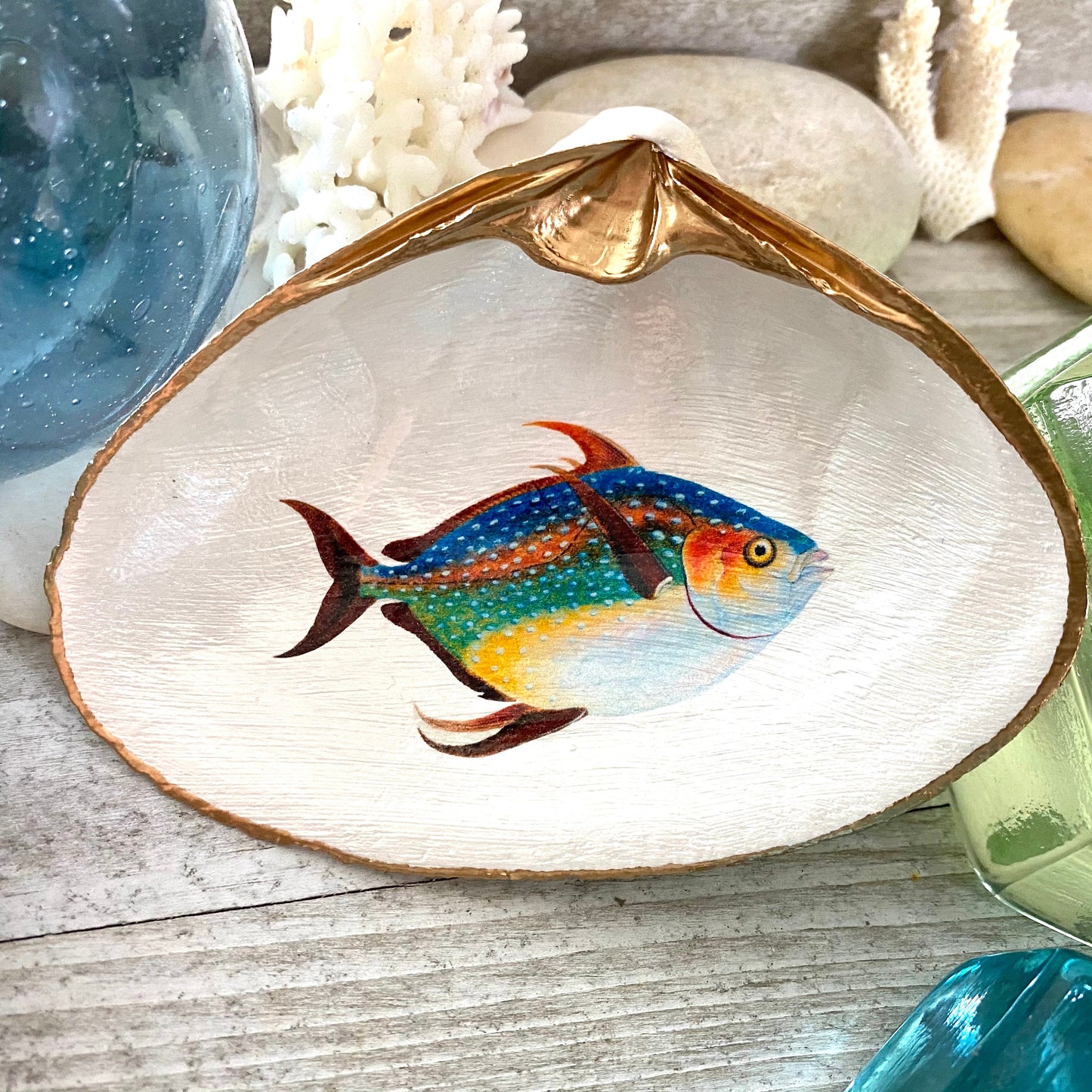 Decoupage Clam Shell Jewelry Dish – Opah Fish Design, Coastal Home Decor