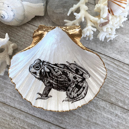 Decoupage Scallop Shell Trinket Dish Vintage Frog Art