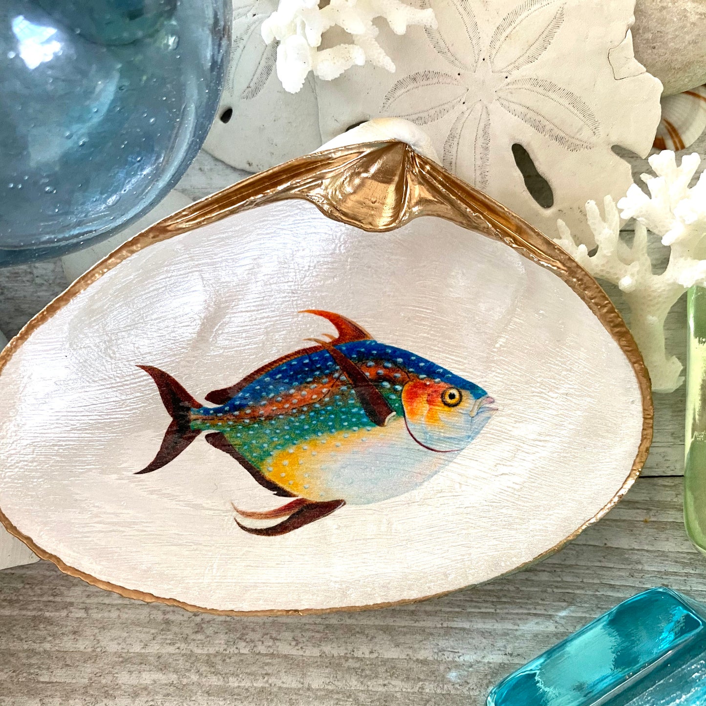 Decoupage Clam Shell Jewelry Dish – Opah Fish Design, Coastal Home Decor
