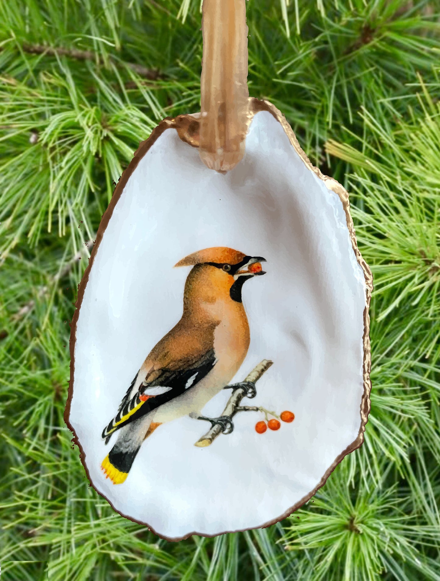 Holiday Ornaments Decoupage Oyster Shell  Bird Lover Art