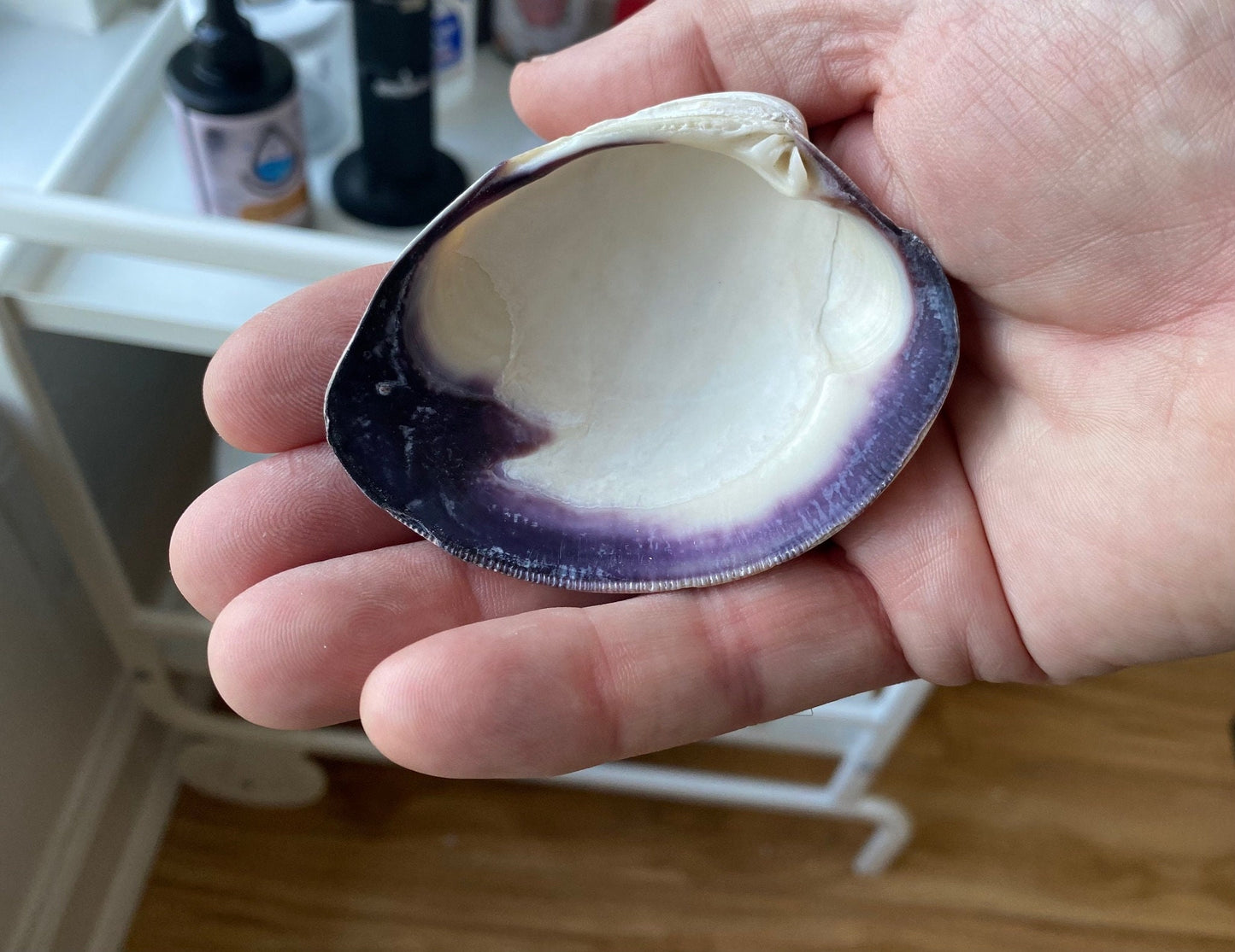 Decoupage Phoenix Clam Shell Ring Dish – Coastal Jewelry Holder, Mythology Decor