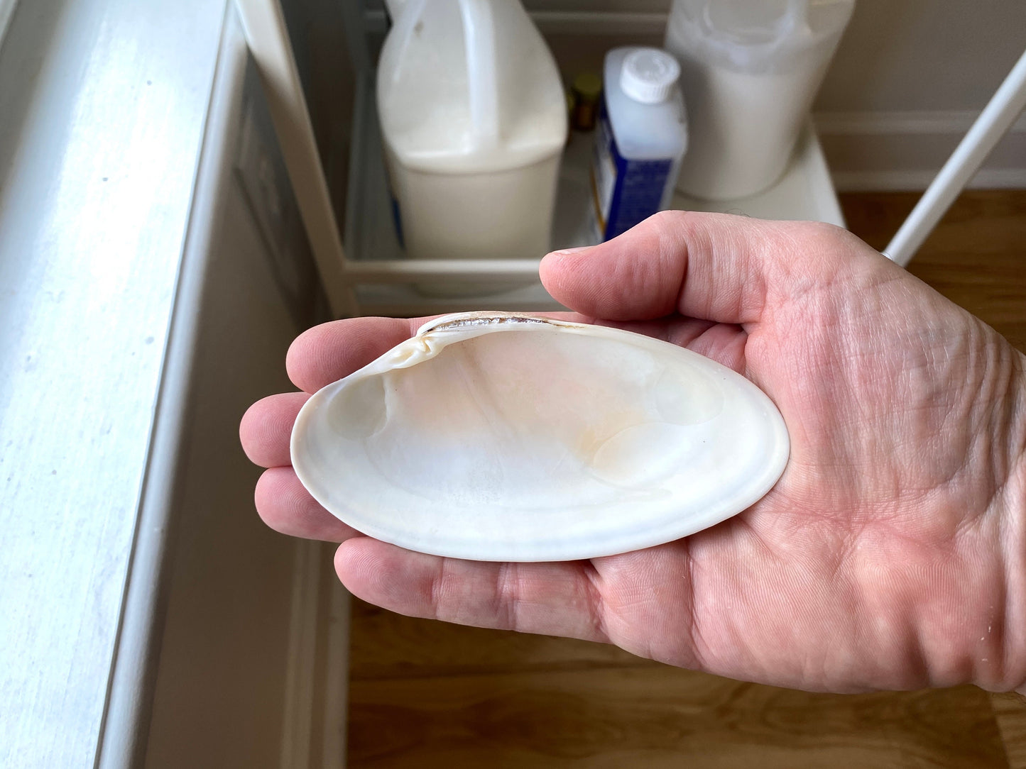 Personalized Decoupage Shell Jewelry Dish – Custom Hostess Gift, Coastal Decor