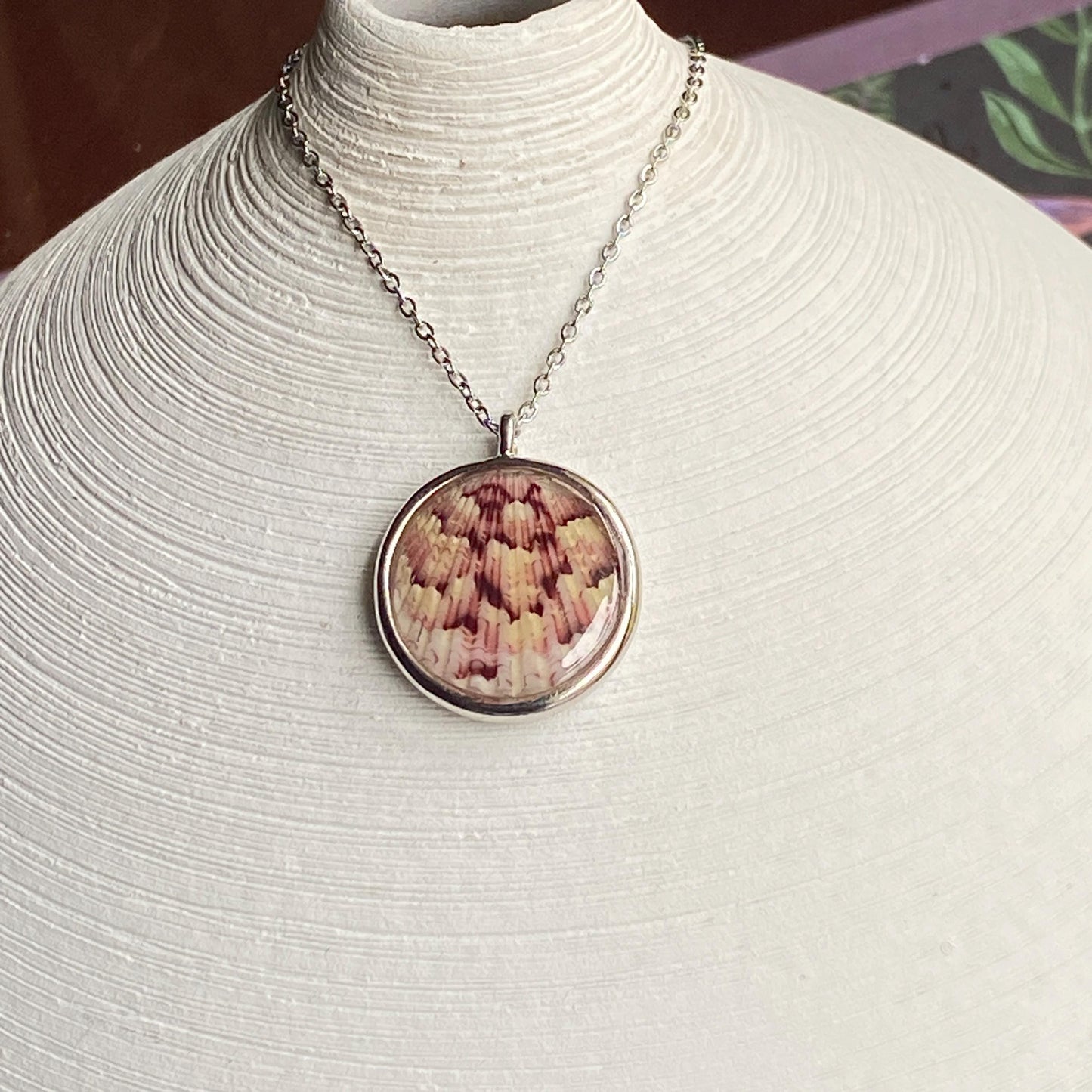 Hand Made Real Seashell Calico Scallop Shell Pendant Necklace