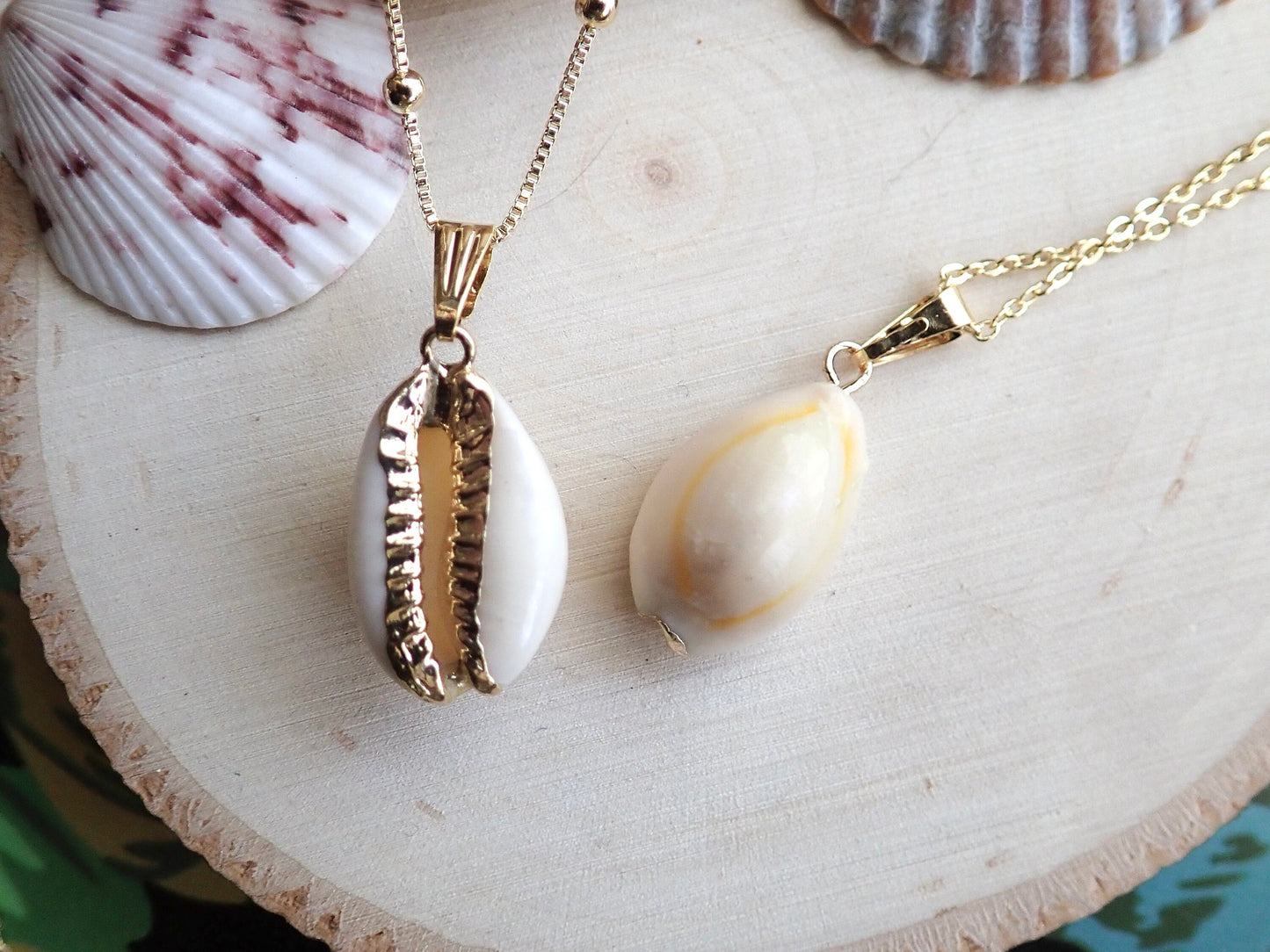 Real Seashell Cowrie Shell Necklace