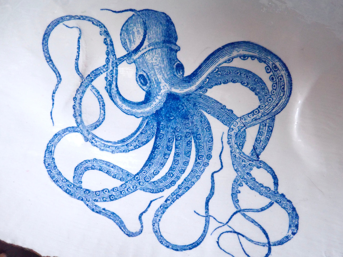 Decoupage Clam Shell Blue Octopus