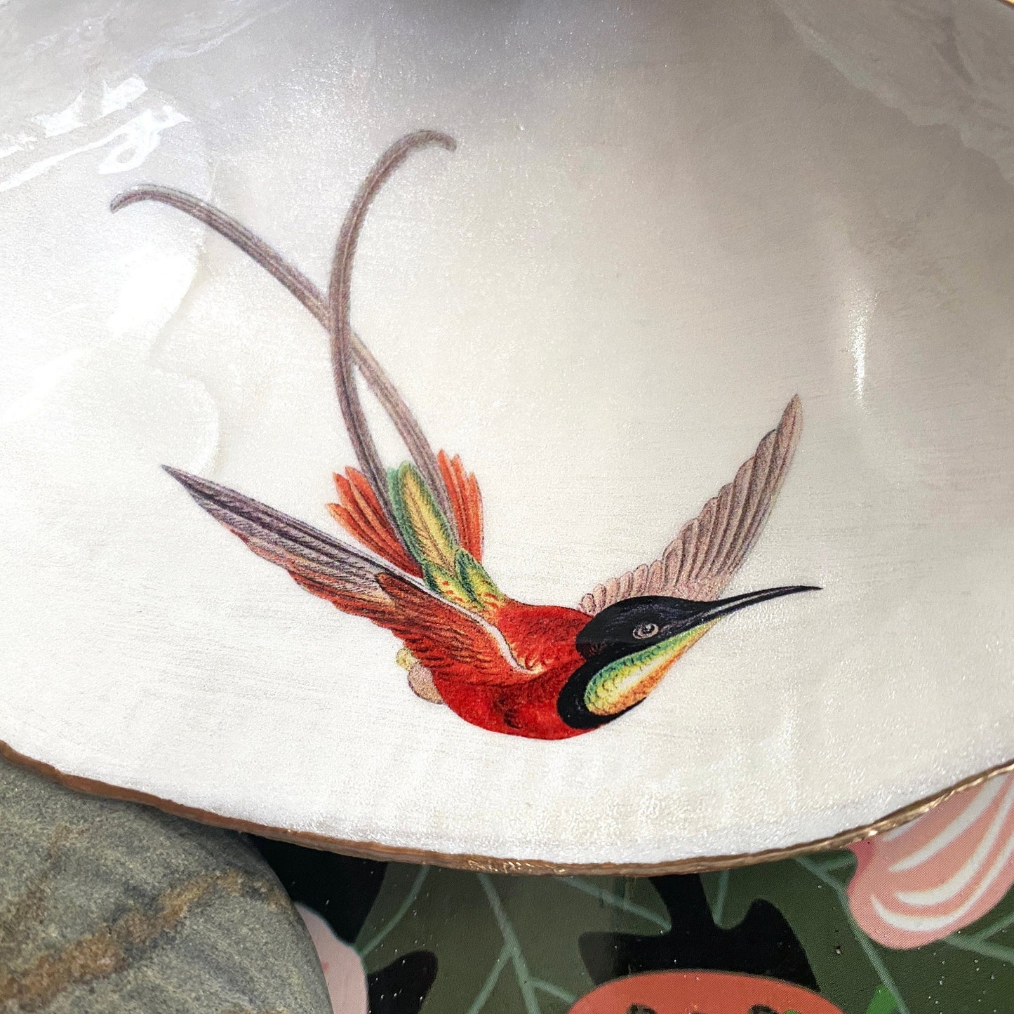 Decoupage Clam Shell Ring Dish – Hummingbird Design Bird Lover Art