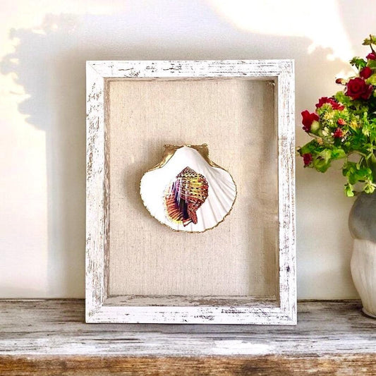 Coastal Wall Art Framed Decoupage Scallop Shell  – Beach House Decor