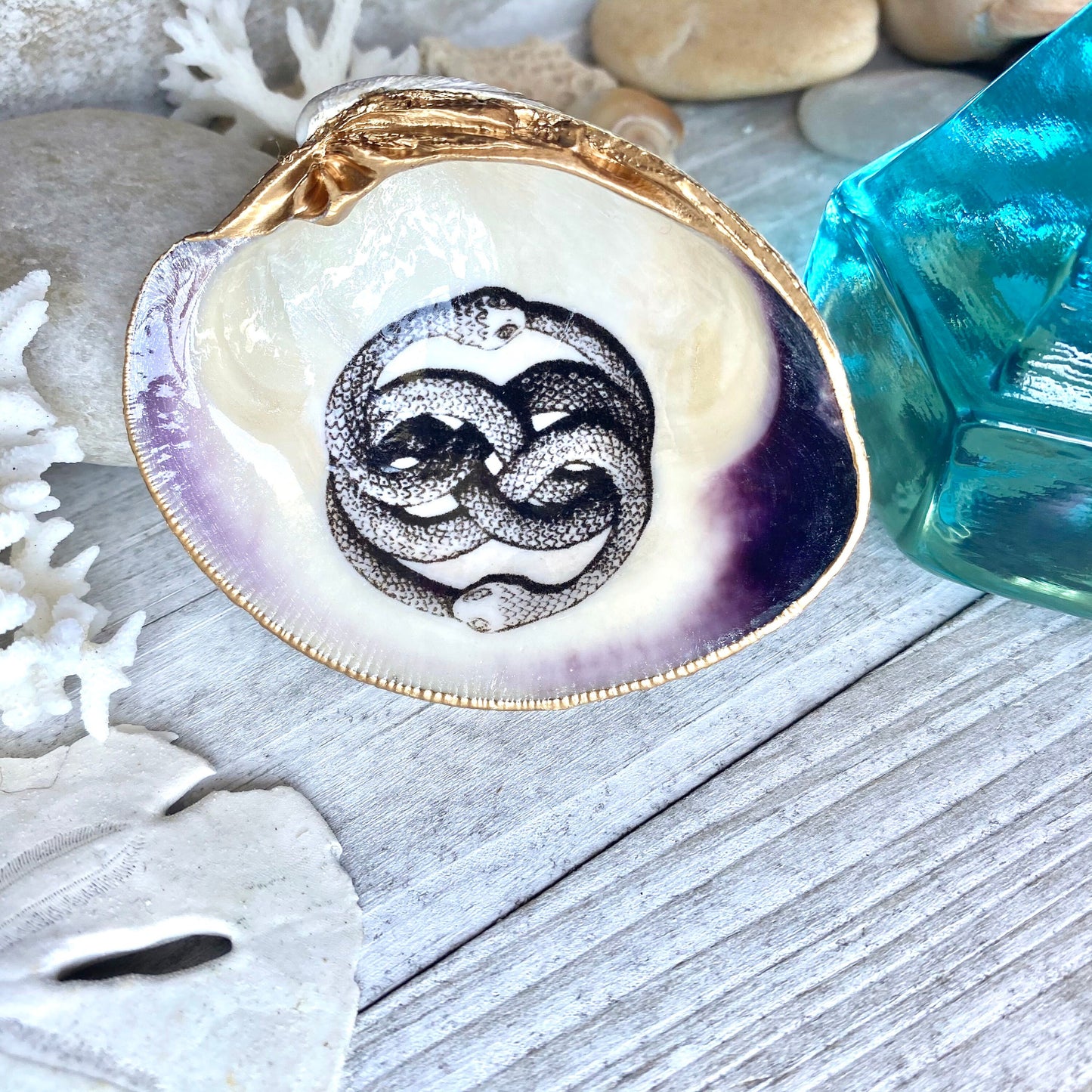 Decoupage Clam Shell Ring Dish – Ouroboros  Art, Mystical Coastal Decor
