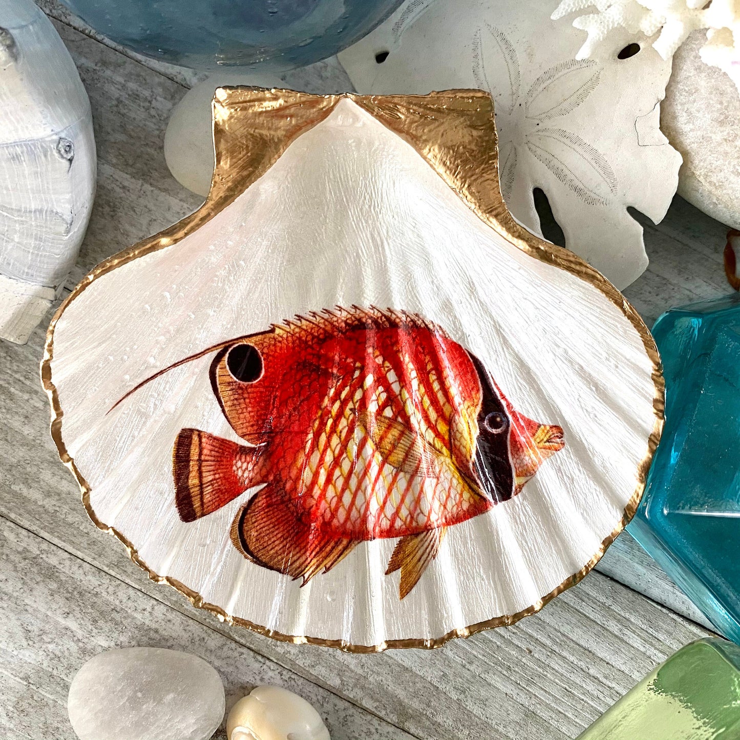 Decoupage Scallop Shell Trinket Dish Tropical Fish Art