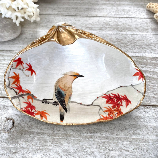 Cedar Waxwing Bird Decoupage Clam Shell Ring Dish