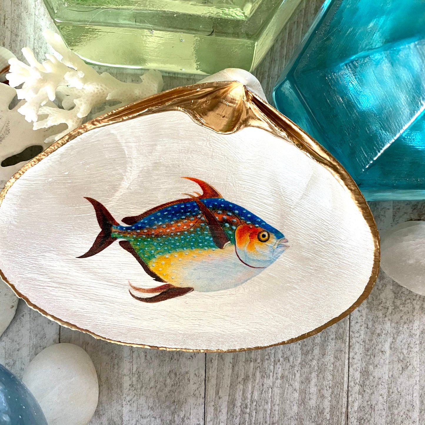 Decoupage Clam Shell Jewelry Dish – Opah Fish Design, Coastal Home Decor
