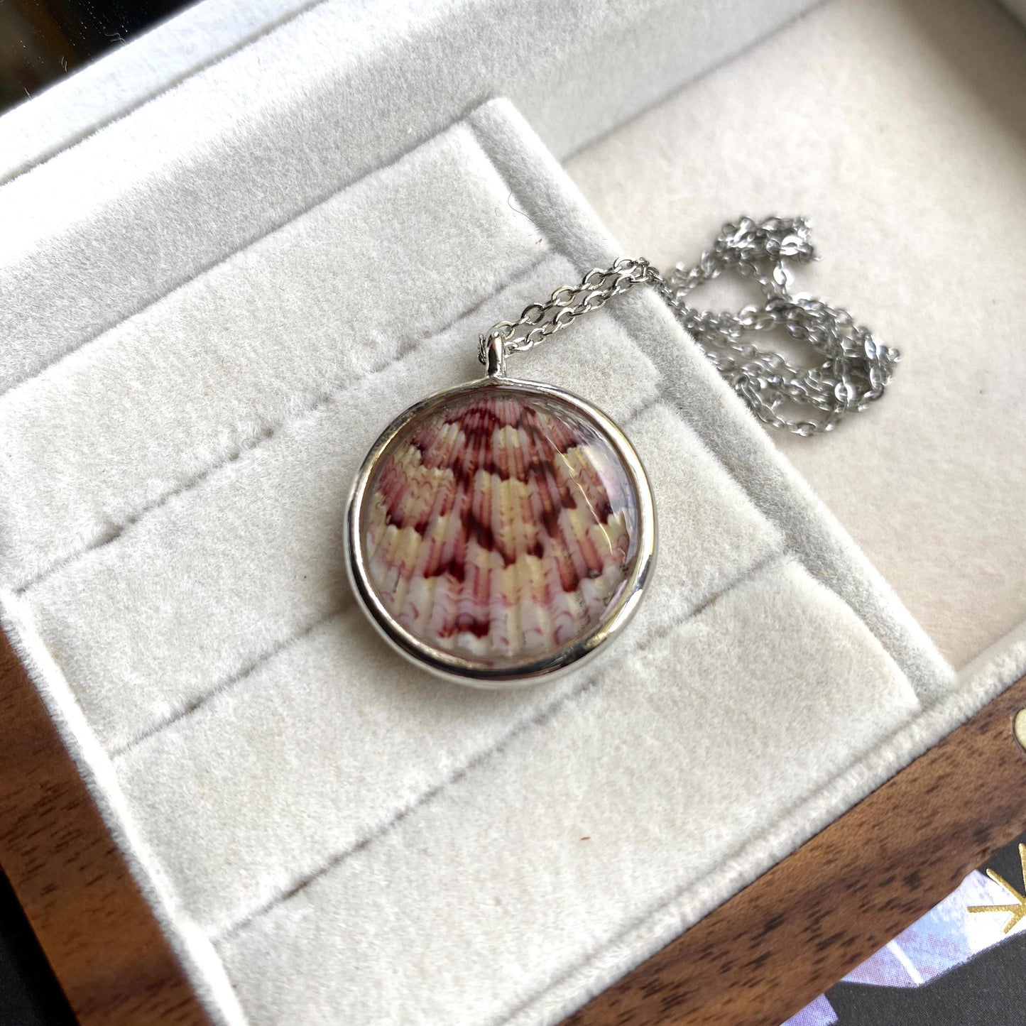 Hand Made Real Seashell Calico Scallop Shell Pendant Necklace