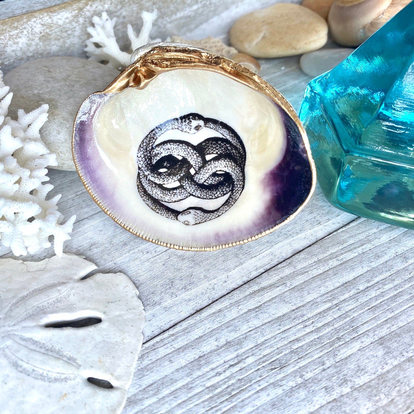 Decoupage Clam Shell Ring Dish – Ouroboros  Art, Mystical Coastal Decor