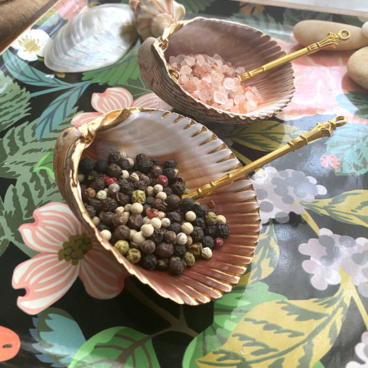 Handcrafted Clam Shell Salt and Pepper Dishes – Beach House Table Decor