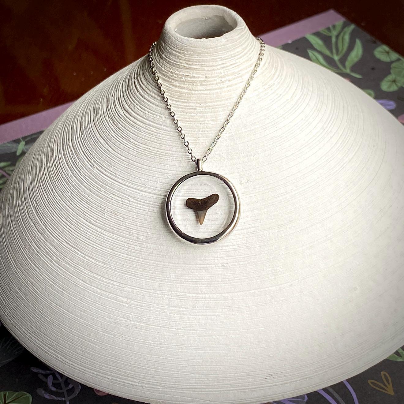 Genuine Fossilized Shark Tooth Pendant Necklace