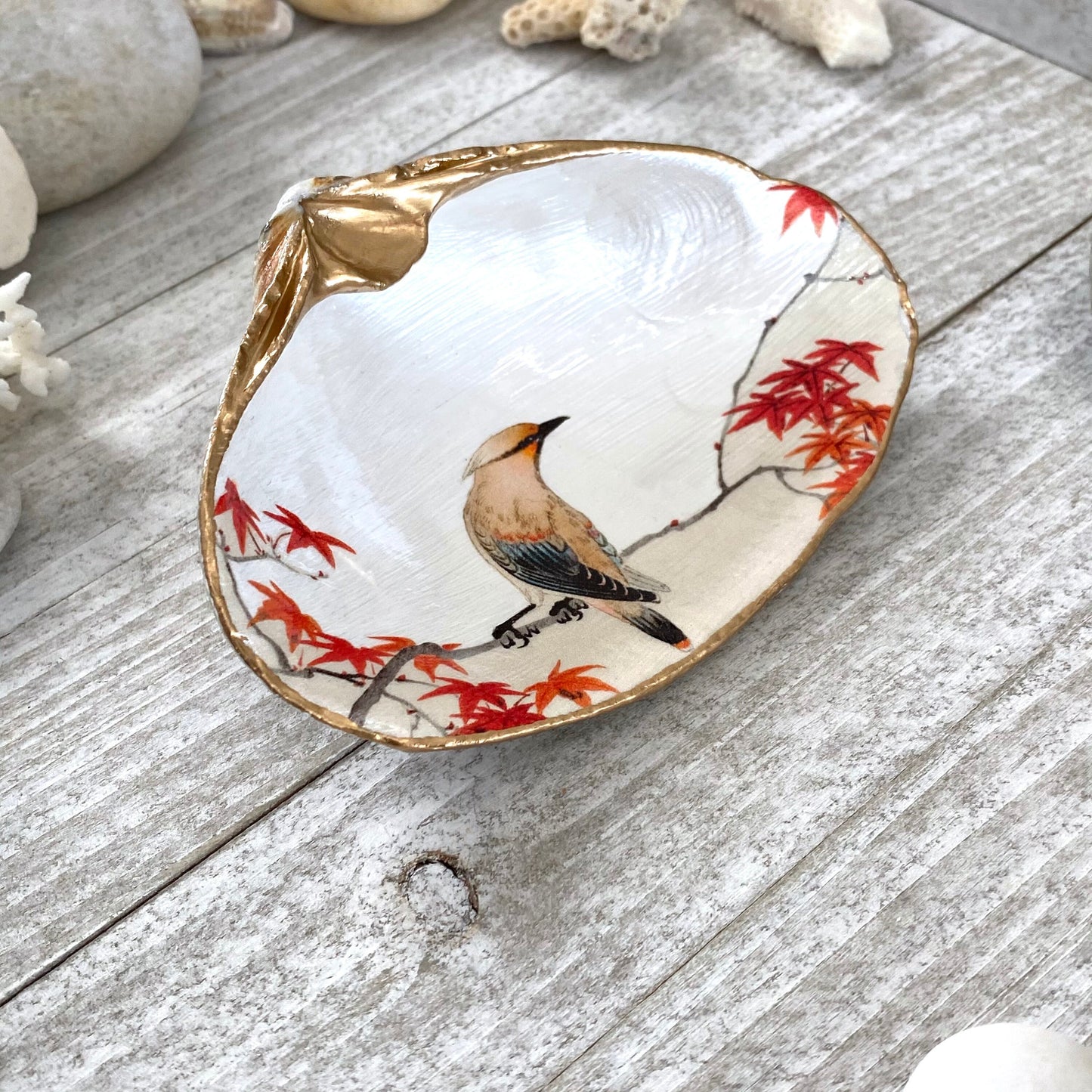 Cedar Waxwing Bird Decoupage Clam Shell Ring Dish