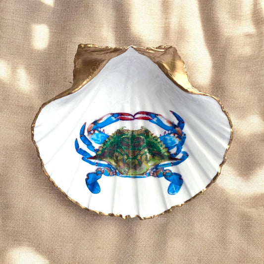 Blue Crab Scallop Shell Wall Art, Handcrafted Coastal Shadow Box, Framed Beach Decor, Chesapeake Bay Gift, Ocean Life Art