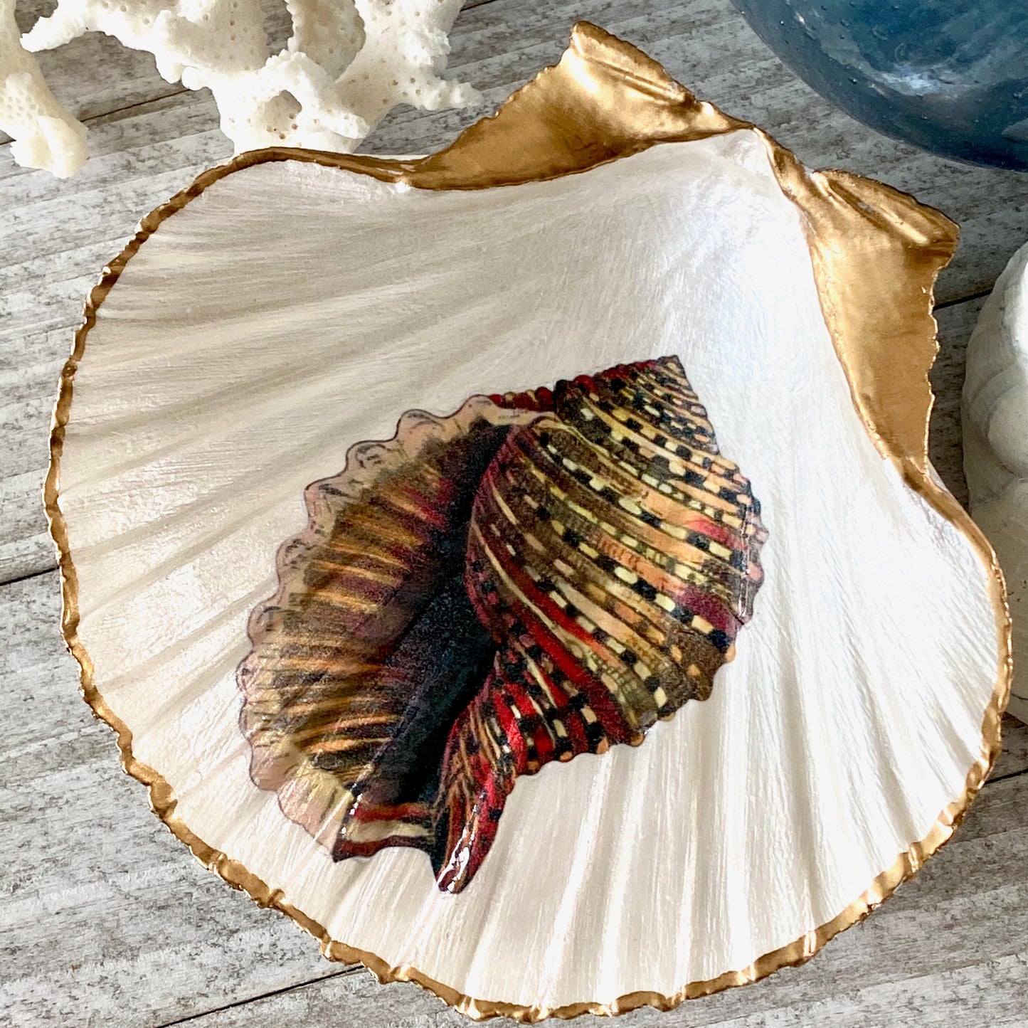 Decoupage Scallop Shell Trinket Dish Conch Shell Art