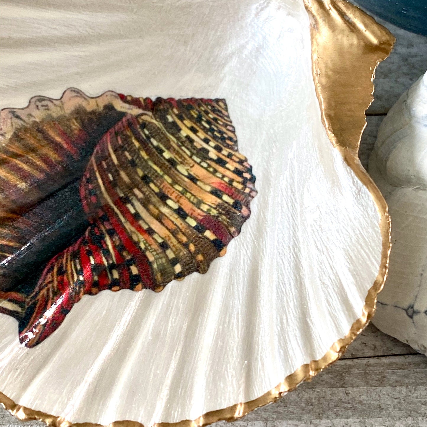 Decoupage Scallop Shell Trinket Dish Conch Shell Art