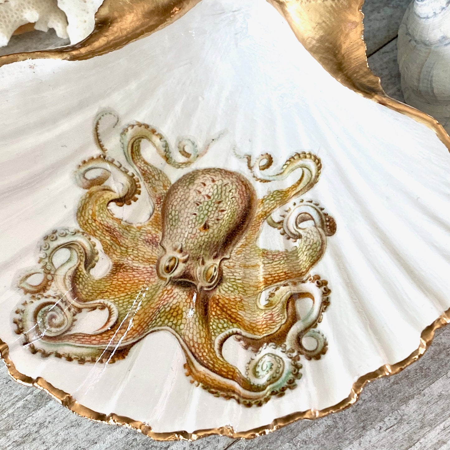 Decoupage Scallop Shell Trinket Dish Octopus Art