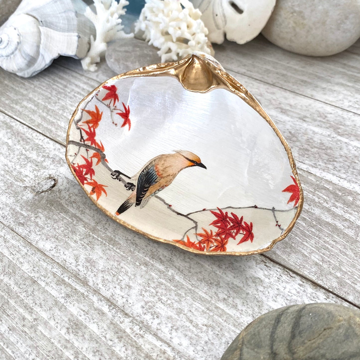 Cedar Waxwing Bird Decoupage Clam Shell Ring Dish