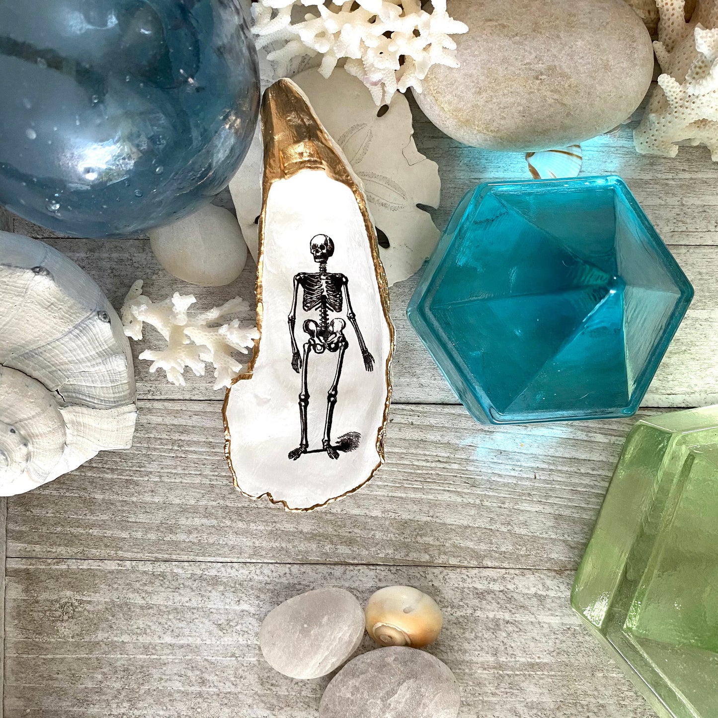 Decoupage Skeleton Oyster Shell Ring Dish – Hand-Crafted Gothic Coastal Decor