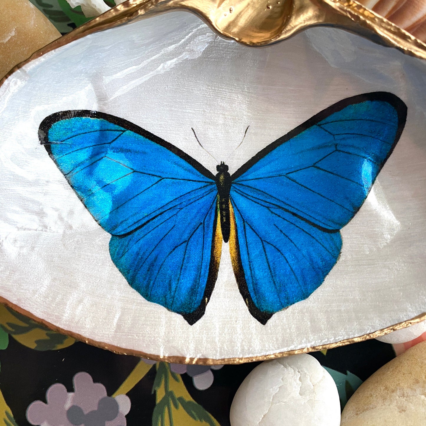 Blue Morpho Butterfly Decoupage Clam Shell Trinket Dish