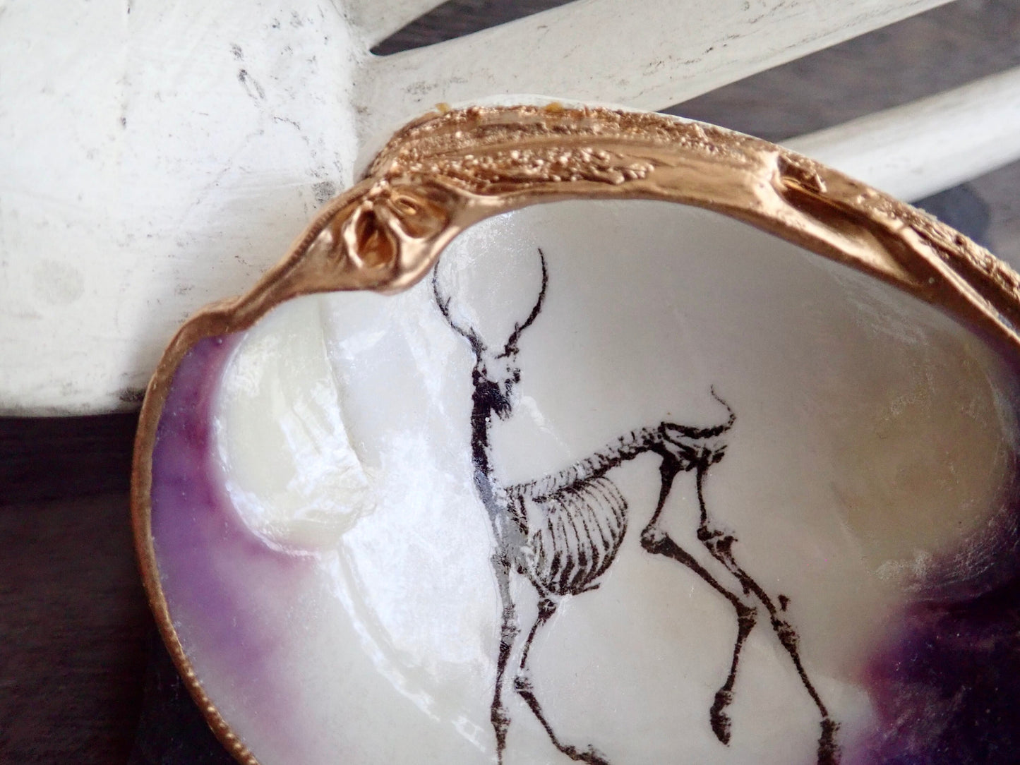 Decoupage Clam Shell Ring Dish – Gothic Skeleton, Esoteric Art Gift