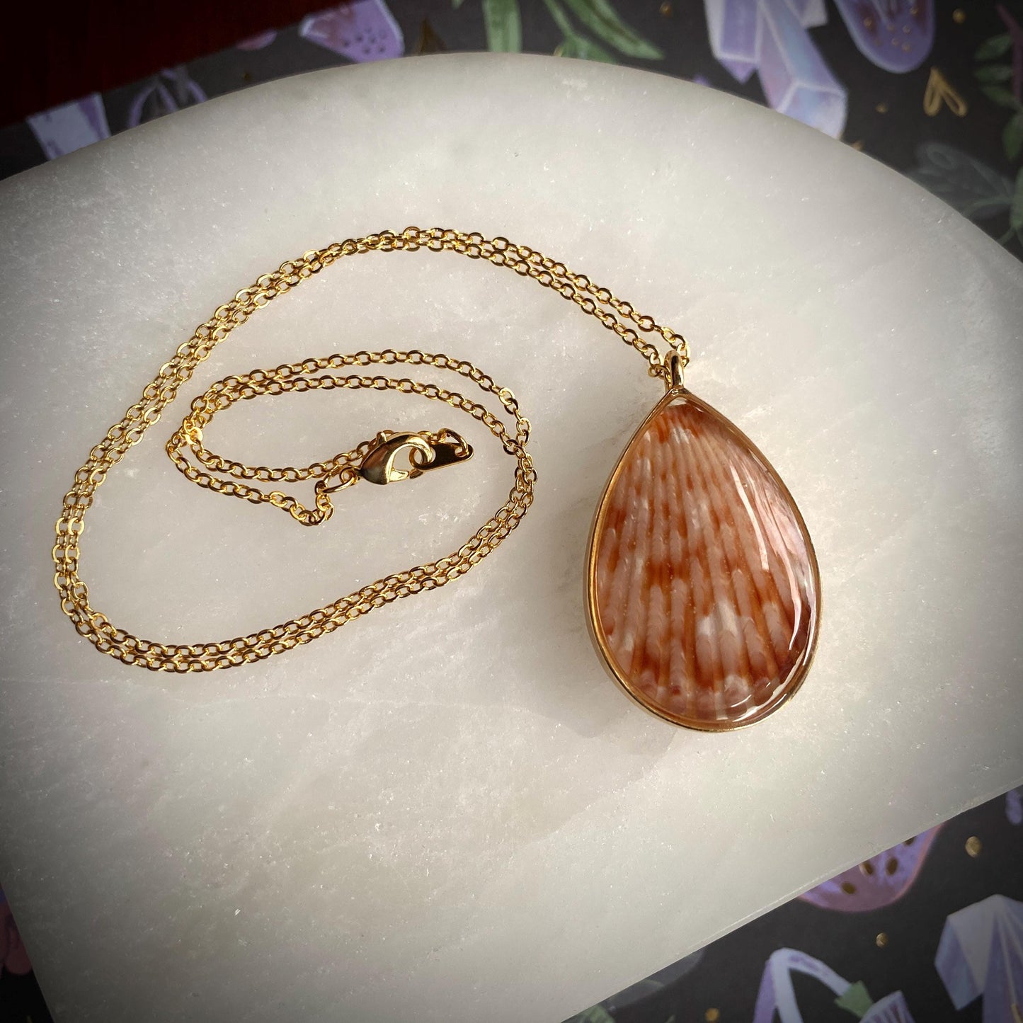 Hand Made Real Seashell Calico Scallop Shell Pendant Necklace