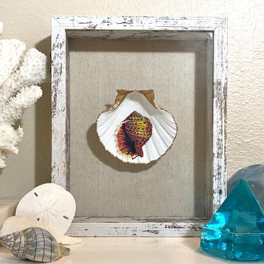 Coastal Wall Art Framed Decoupage Scallop Shell  – Beach House Decor