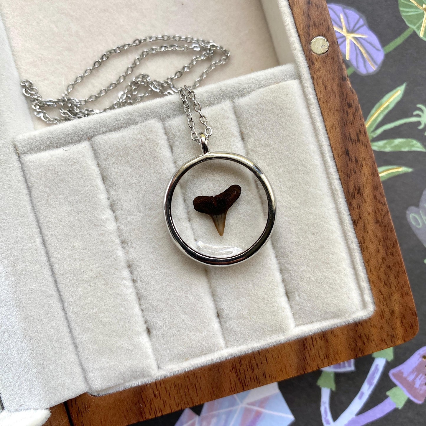 Genuine Fossilized Shark Tooth Pendant Necklace