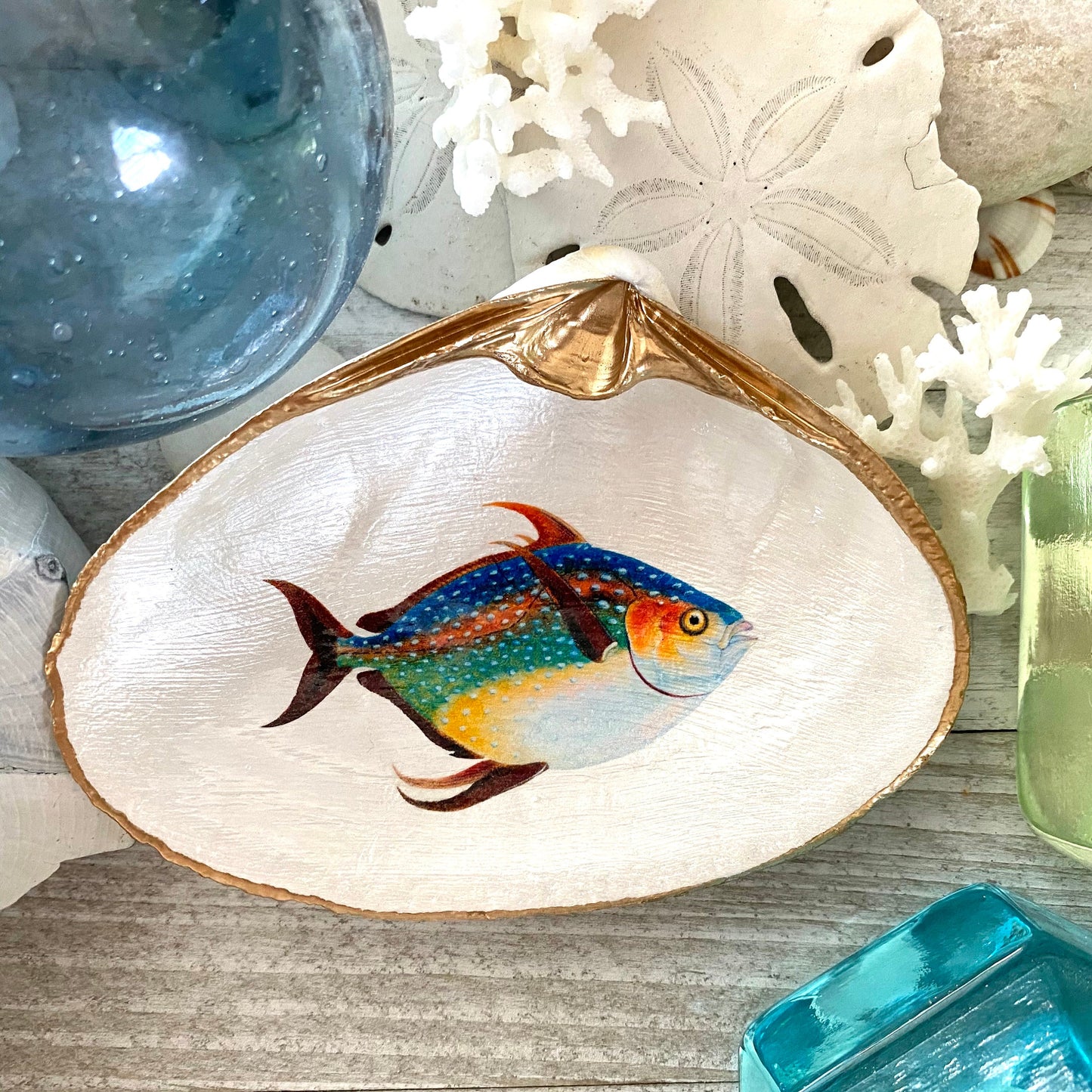 Decoupage Clam Shell Jewelry Dish – Opah Fish Design, Coastal Home Decor
