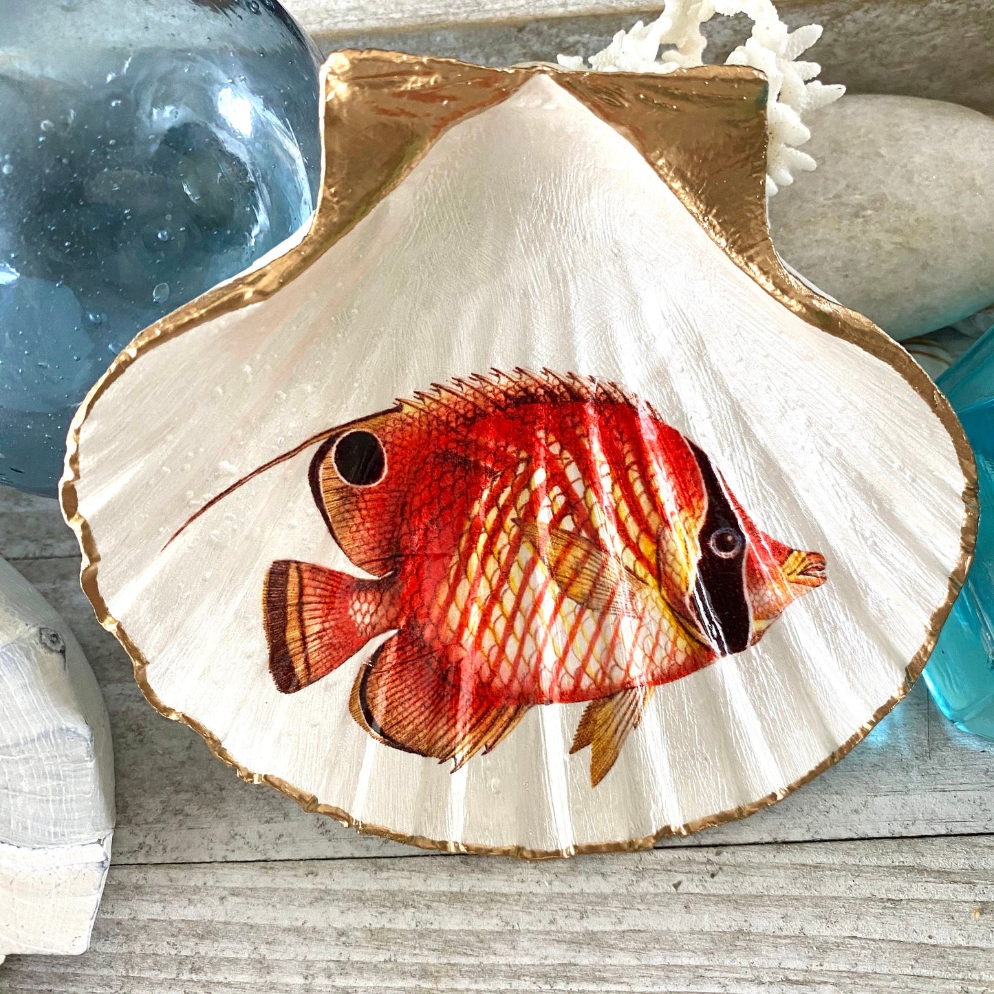 Decoupage Scallop Shell Trinket Dish Tropical Fish Art