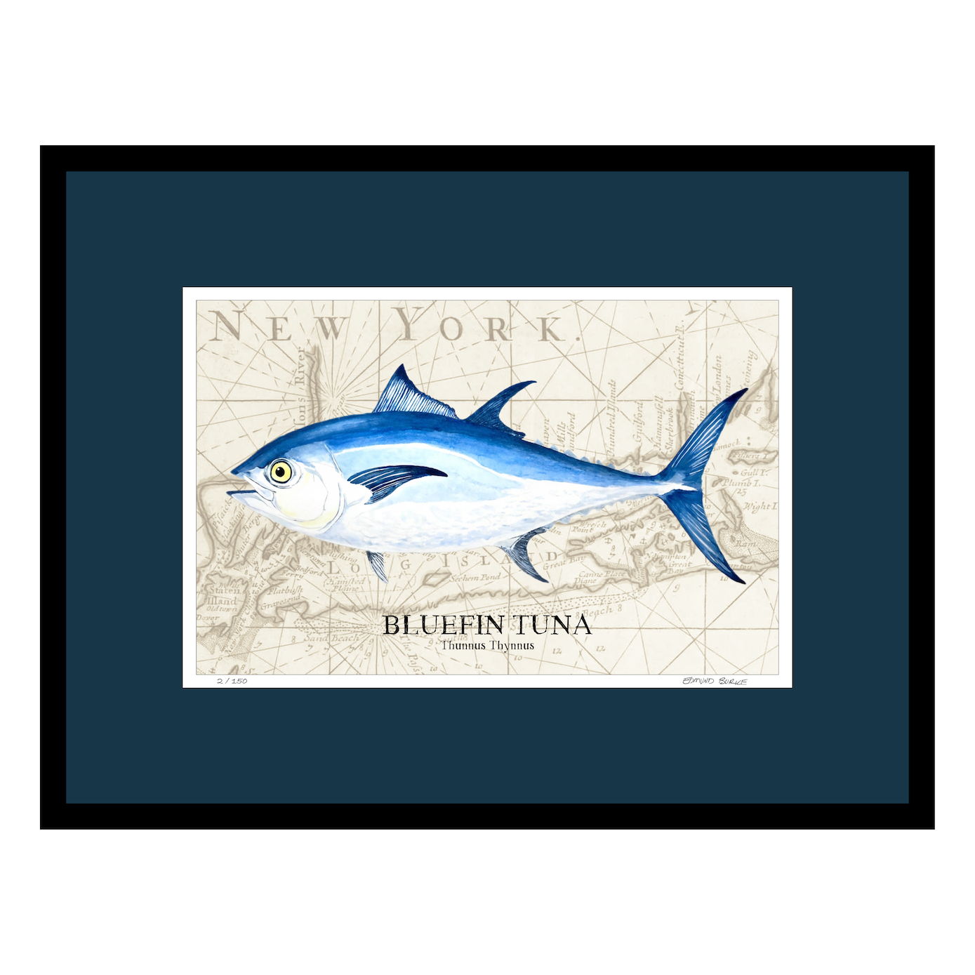 Bluefin Tuna Watercolor Print Art Over Vintage Long Island Map – Nautical Coastal Wall Art, Fishermen Angler Gift, NY Beach House Décor