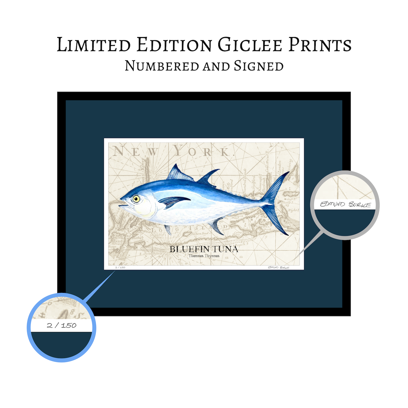 Bluefin Tuna Watercolor Print Art Over Vintage Long Island Map – Nautical Coastal Wall Art, Fishermen Angler Gift, NY Beach House Décor