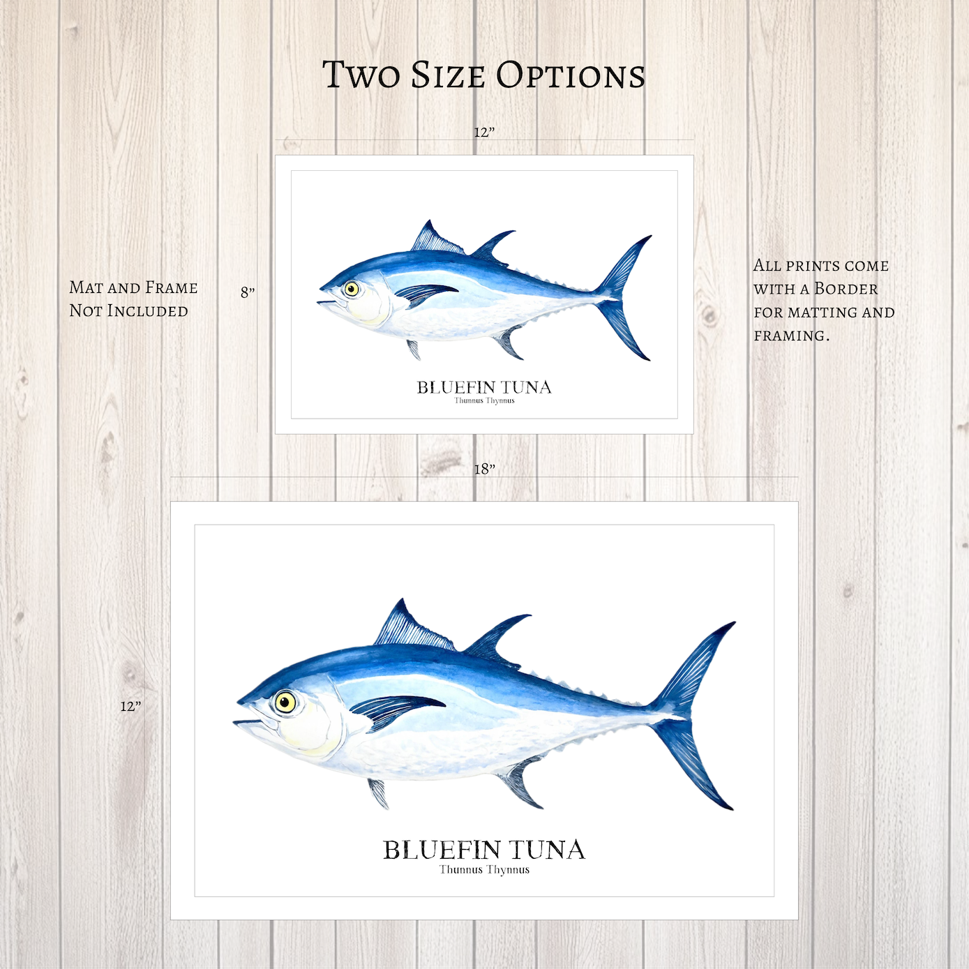 Bluefin Tuna Watercolor Print: Coastal Nautical Wall Art