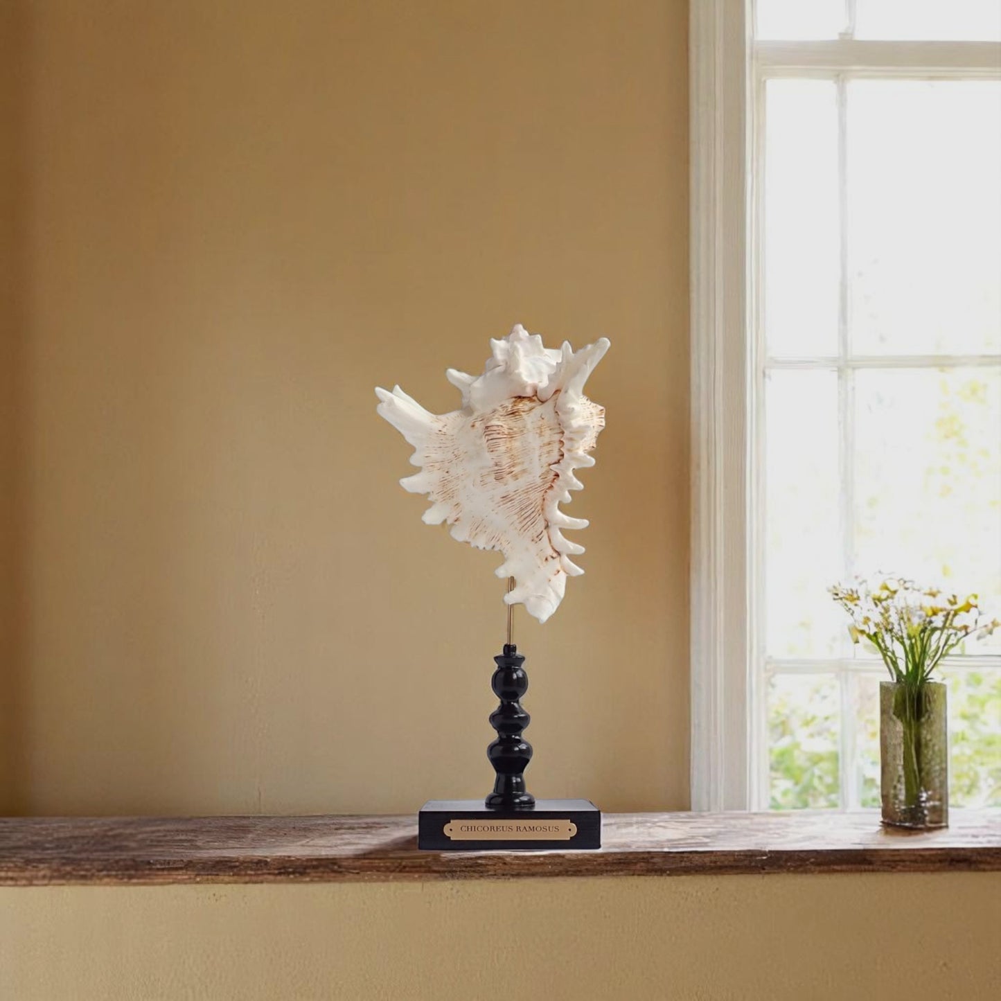 Mounted Shell Sculpture, Sea Shell on Stand, Tropical Shell Display, Elegant Coastal Decor, Beach House Gift, Nautical Marine Home Accent